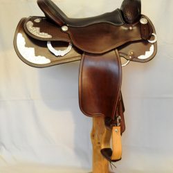 Show Horsemanship 01