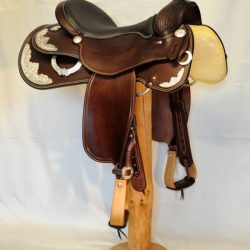 Show Horsemanship 01