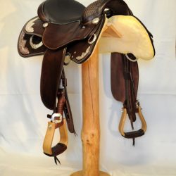 Show Horsemanship 01