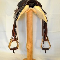 Show Horsemanship 01