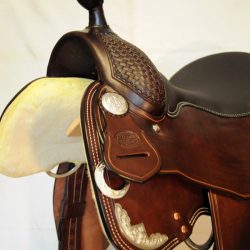 Show Horsemanship 01