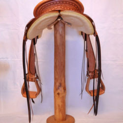 Will James Modified 08