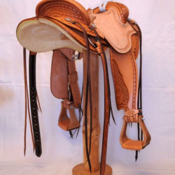 Will James Modified 08