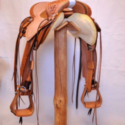 Will James Modified 08