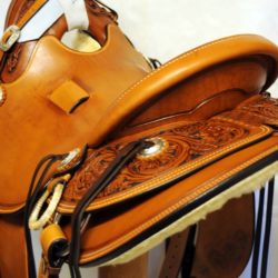 Modern Vaquero No.64