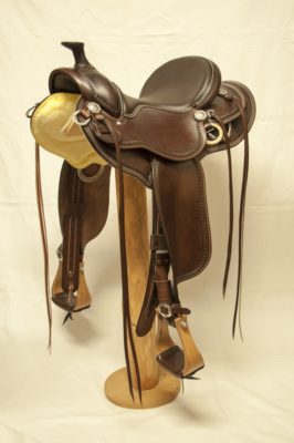 Western Dressage Equitation 02