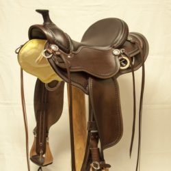 Western Dressage Equitation 02