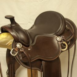 Western Dressage Equitation 02