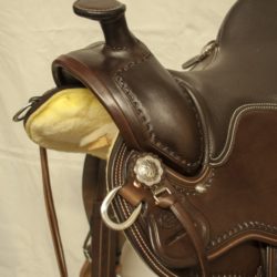 Western Dressage Equitation 02