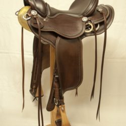 Western Dressage Equitation 02