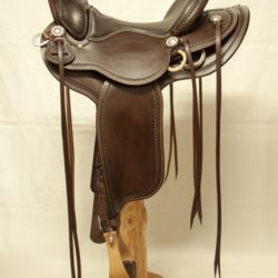 Western Dressage Equitation 02