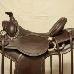 Western Dressage Equitation 02