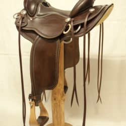 Western Dressage Equitation 02