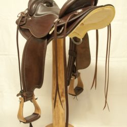 Western Dressage Equitation 02