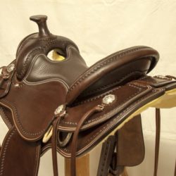 Western Dressage Equitation 02