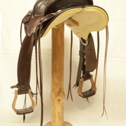 Western Dressage Equitation 02