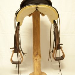 Western Dressage Equitation 02