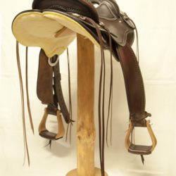 Western Dressage Equitation 02