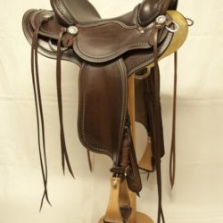 Western Dressage Equitation 02