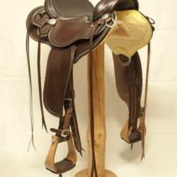 Western Dressage Equitation 02