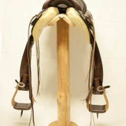 Western Dressage Equitation 02