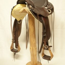 Western Dressage Equitation 02