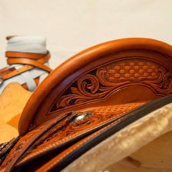 Modern Vaquero No.071