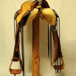 Modern Vaquero No.072