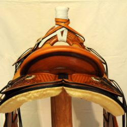 Modern Vaquero No.095