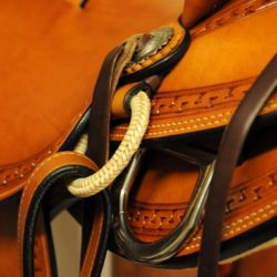 Modern Vaquero No.101