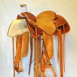 Versatility TM Roper 01