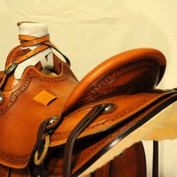 Modern Vaquero No.113