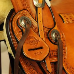 Modern Vaquero No.114