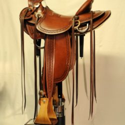 Modern Vaquero No.115