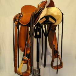 Modern Vaquero No.118