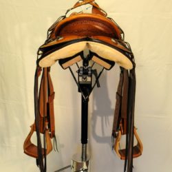 Modern Vaquero No.118