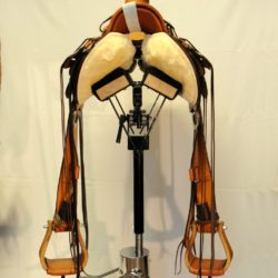 Modern Vaquero No.119