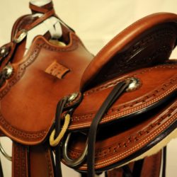 Modern Vaquero No.120