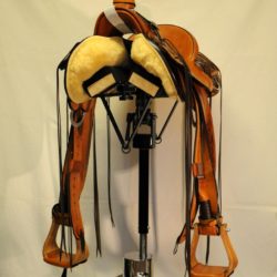 Modern Vaquero No.121