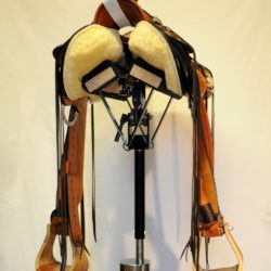 Modern Vaquero No.125