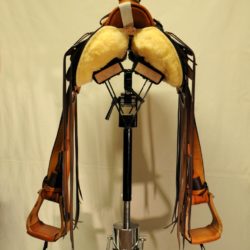 Modern Vaquero No.126