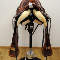 Modern Vaquero No.131